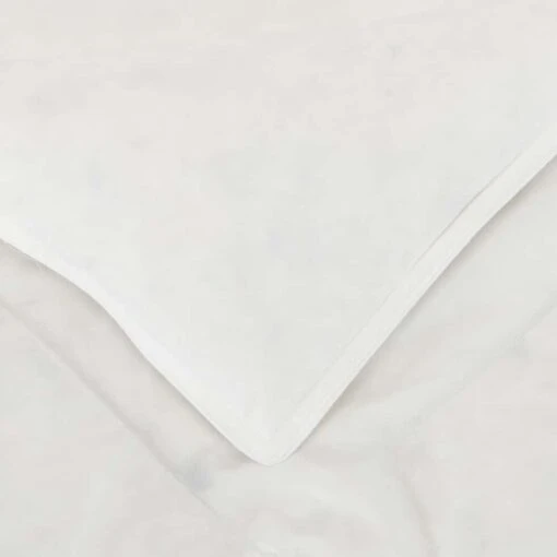 NAIA - Couette Tempérée En Duvet Et Plumettes De Canard - Blanc 240x220cm -Magasin De Literie COUETTE NAIA 27339770 Z 1